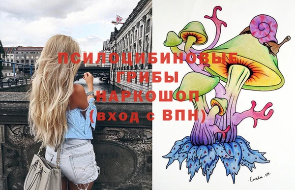 шишки Бронницы